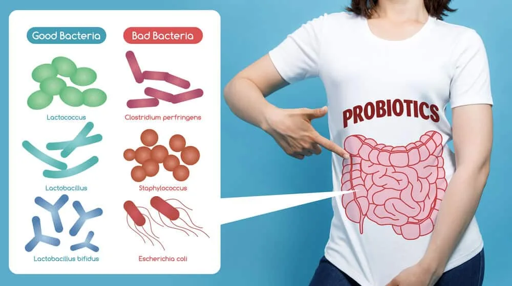 provitalize probiotics